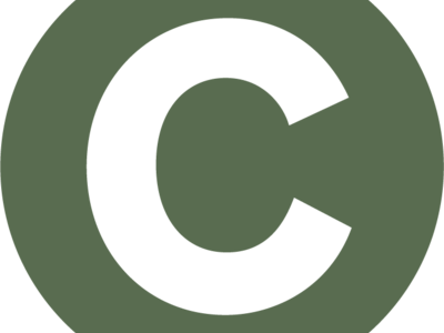 News small logomark green
